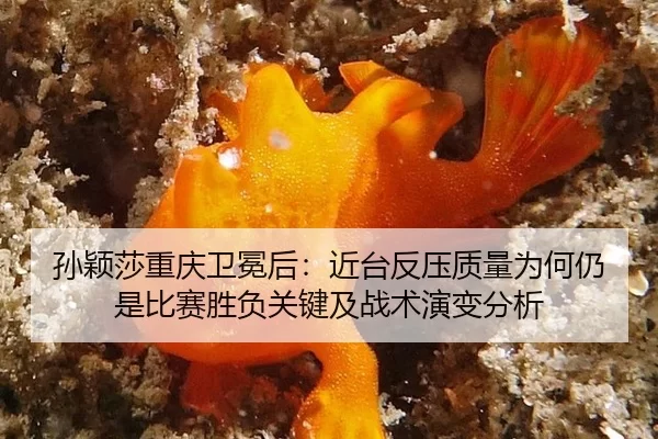 sun-ying-sha-chong-qing-wei-mian-hou-jin-tai-fan-ya-zhi-liang-wei-he-reng-shi-bi-sai-sheng-fu-guan-jian-ji-zhan-shu-yan-2-100.jpg