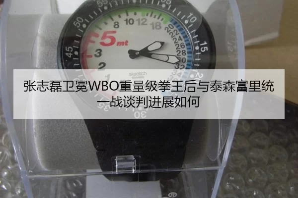 张志磊卫冕WBO重量级拳王后与泰森富里统一战谈判进展如何
